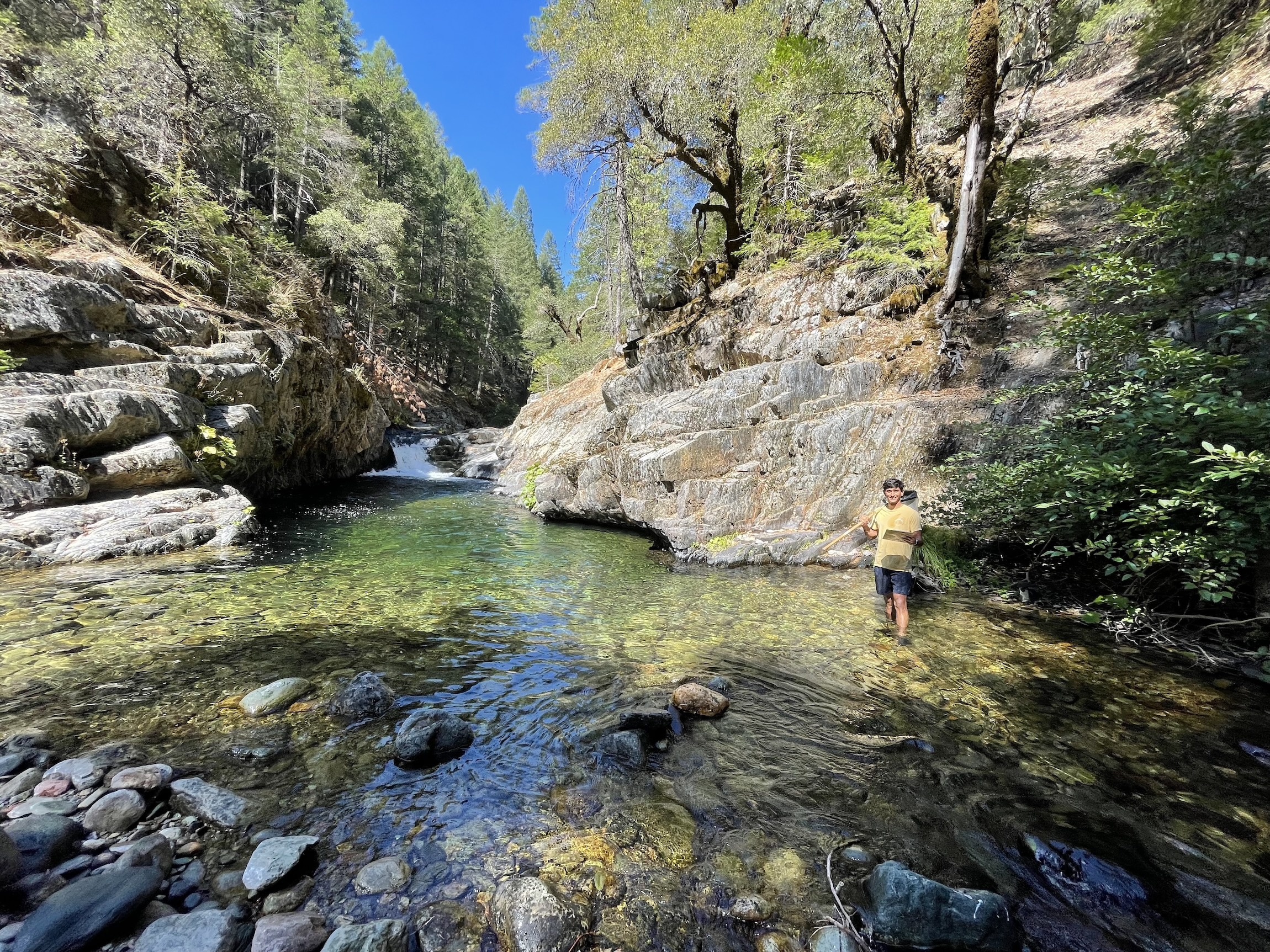 Smiling man standing in the clear water of a rocky stream on a sunny day.
