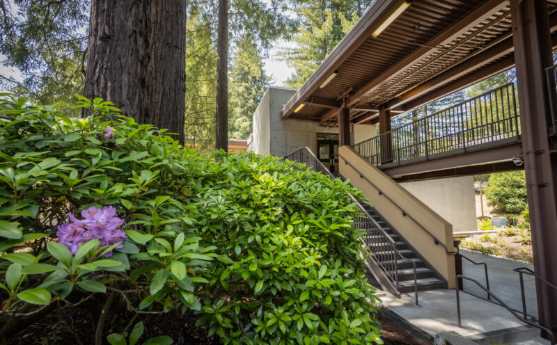 Prioritizing your well-being this spring quarter