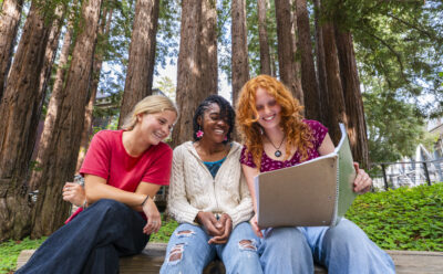 Three students sit in front of redwoods looking at notebook