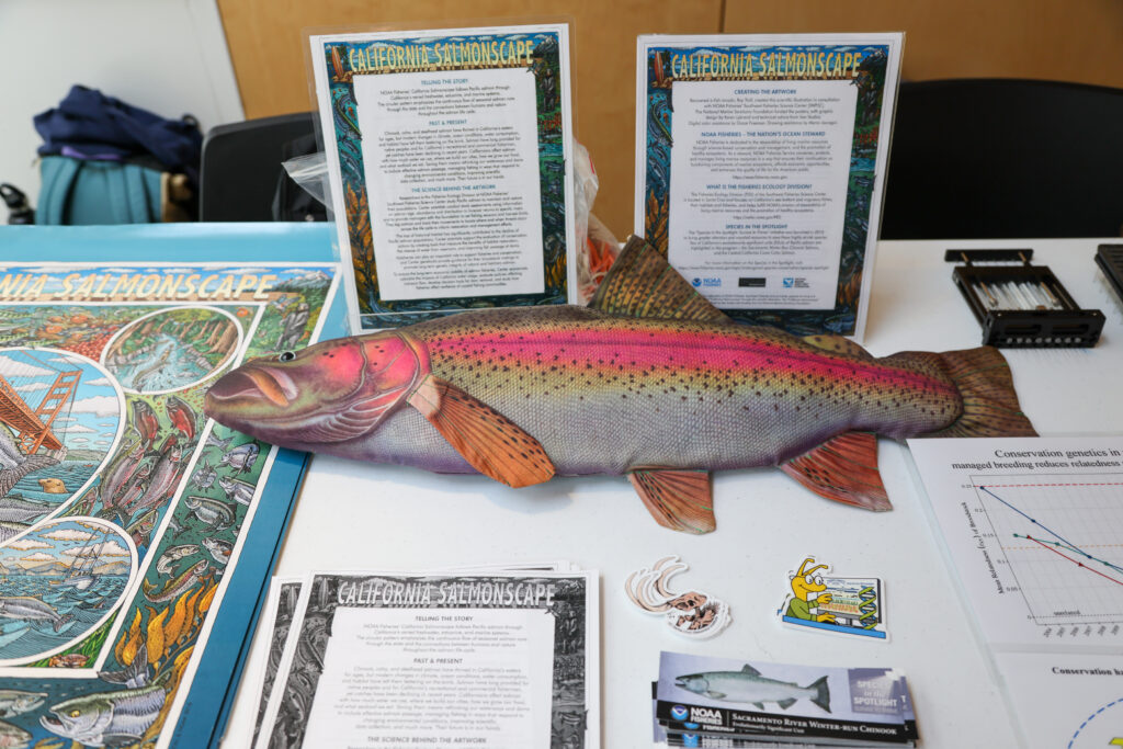 A plush salmon next to a stack of beautifully designed posters of the "California Salmonscape" on a table.