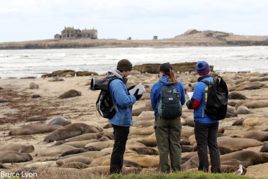 undergrad students at Año Nuevo
