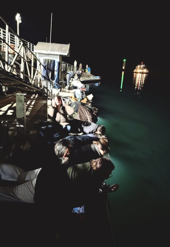Observers lying on a dock at night, looking in the water.