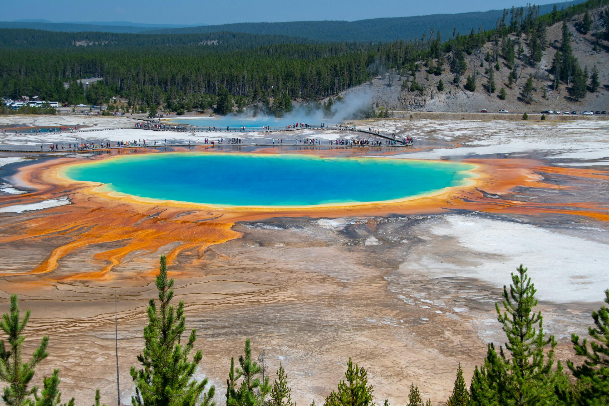 A bright blue geyer rimmed by yellow and orange. Trees in the foreground and background