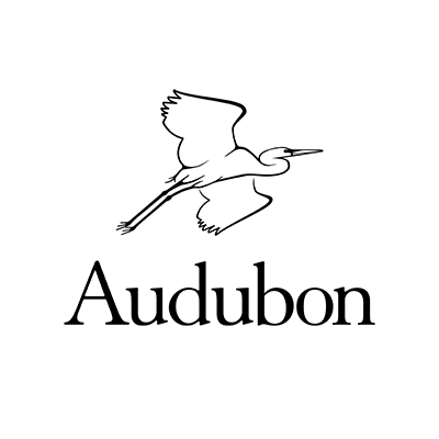 Audubon logo of flying bird