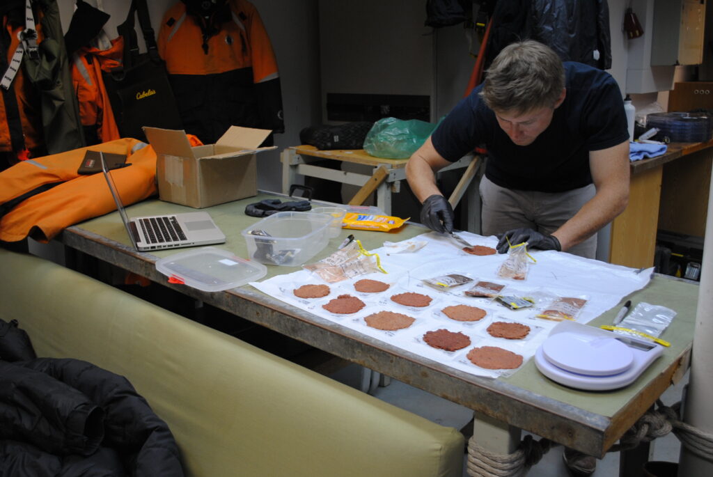 Researcher hunched over table, spreading samples into individual circles