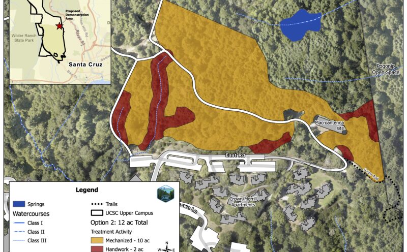 Forest health and fuel reduction project in Upper Campus