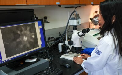 Woman in white lab coat looking at jellyfish image on a computer monitor