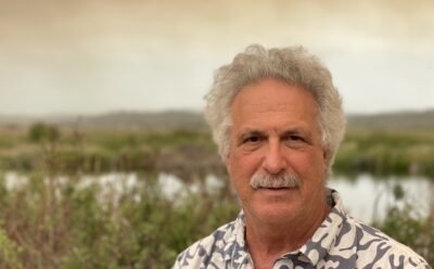 Bruce Stein