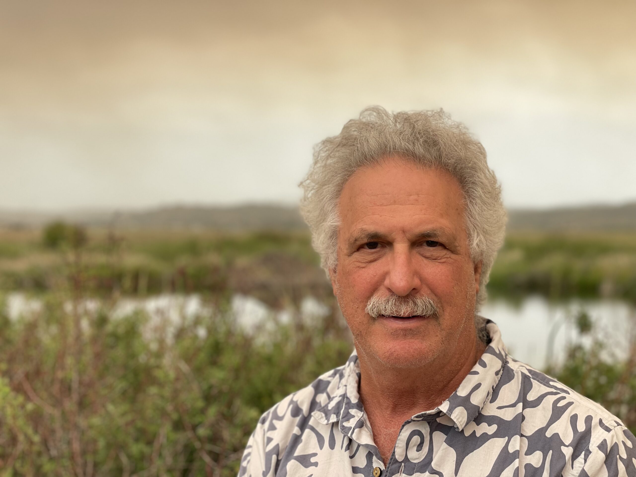 Bruce Stein