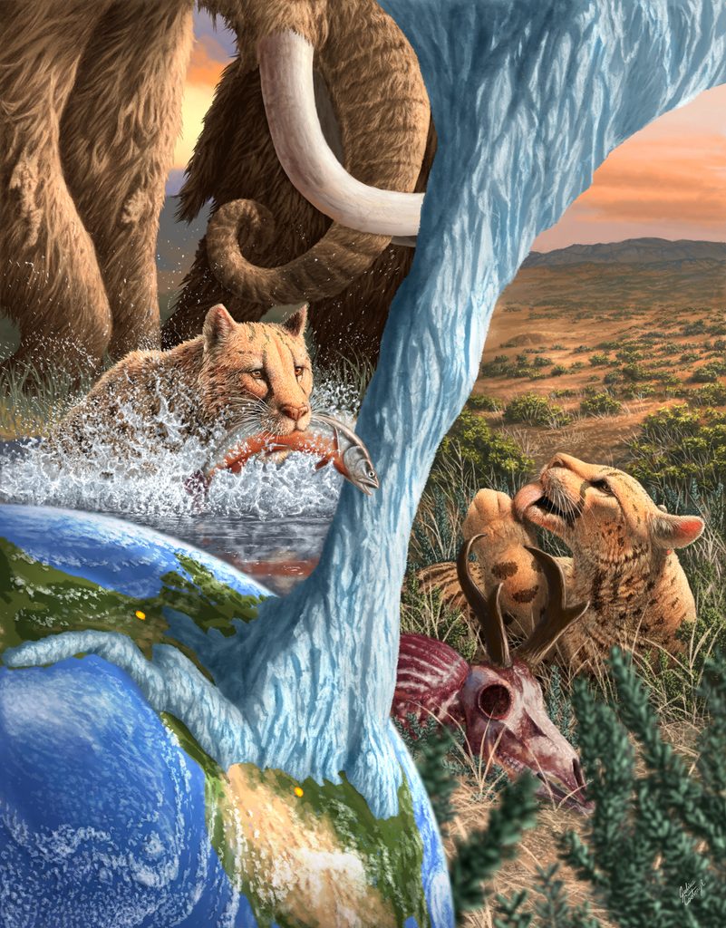 Illustrated composite image of two big cats eating different prey