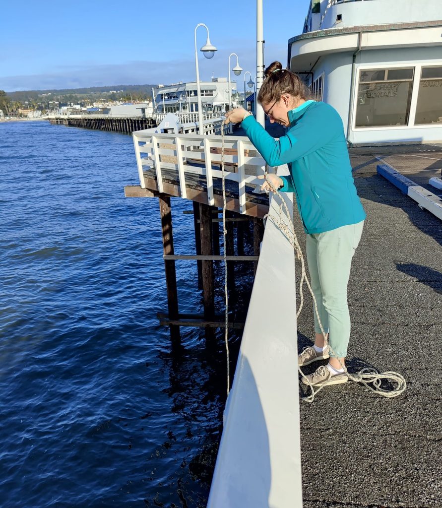 Researcher lowering a rope with samplers attached into the water from the edge of a pier