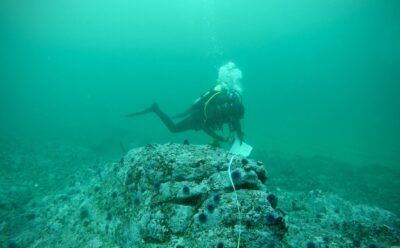 SCUBA diver underwater above barren seafloor