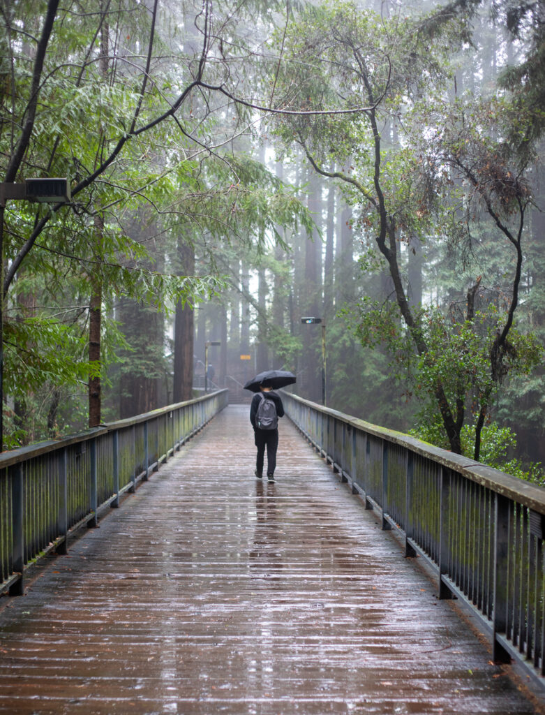 Person on a bridge with an umbrella in the rain. 