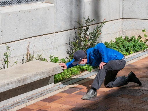 A student kneels down to look at the base of a wall on a campus building beneath a window. 