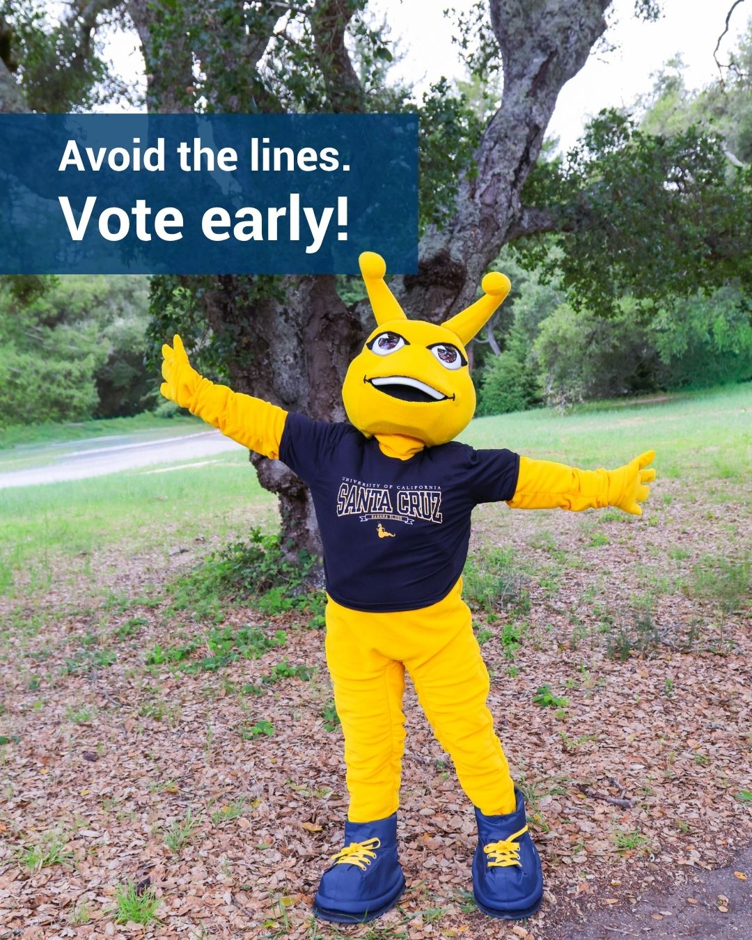 A yellow mascot with antennae and a "Santa Cruz" shirt poses outdoors with arms spread wide. A banner reads, "Avoid the lines. Vote early!"